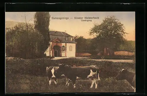 AK Heisterbach / Siebengebirge, Kloster, Toreingang