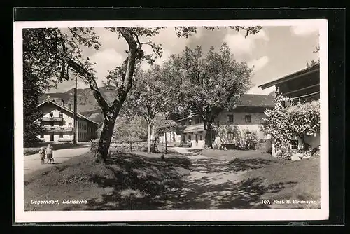 AK Degerndorf, Dorfpartie zur Baumblüte