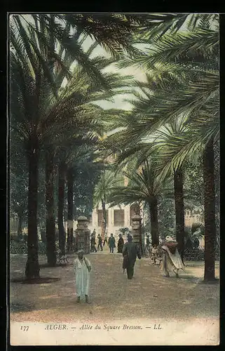 AK Alger, Allée du Square Bresson