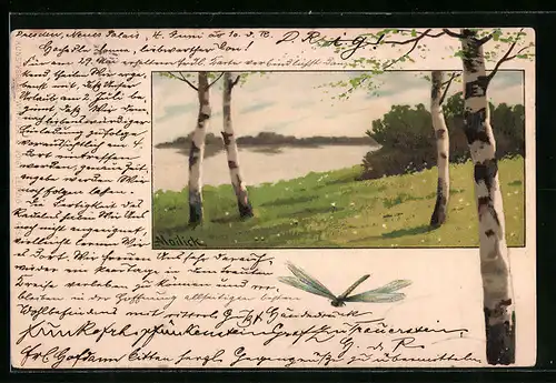 Künstler-AK Alfred Mailick: Birken am See und Libelle