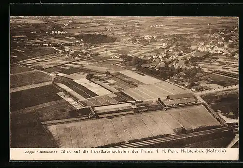 AK Halstenbek /Holstein, Zeppelin-Aufnahme der Forstbaumschulen H. H. Pein