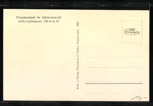 AK Freudenstadt im Schwarzwald, Strassenpartie mit Löwenapotheke