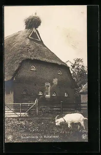 AK Ruhwinkel, Bauernhaus mit Ziegenbock