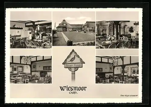 AK Wiesmoor /Ostfr., Gasthaus Blauer Fasan