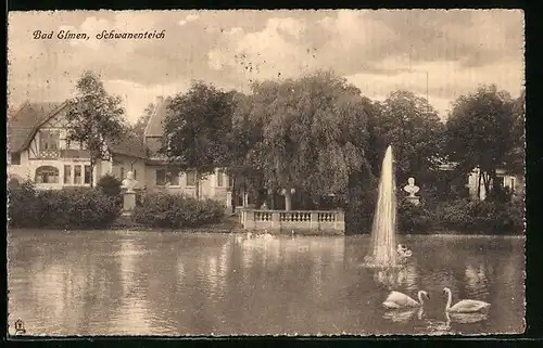 AK Bad Elmen, Schwanenteich