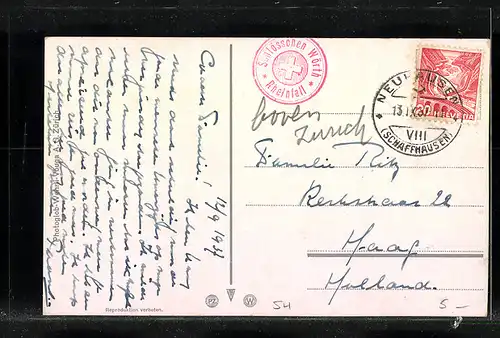 AK Rheinfall und Schloss Laufen