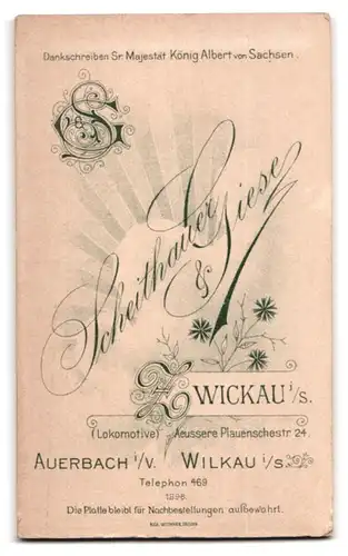 Fotografie Scheithauer & Giese, Zwickau i. Sa., Äussere Plauenschestr. 24, Portrait Fräulein im prachtvollen Kleid