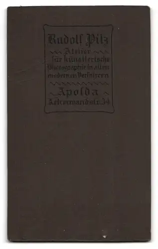 Fotografie Rudolf Pilz, Apolda, Ackerwandstr. 34, Portrait brünette Schönheit in prachtvoller Bluse