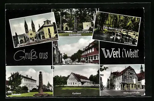 AK Werl i. Westf., Kurhaus, Walburgisstrasse, Gänsevöhlde, Basilika