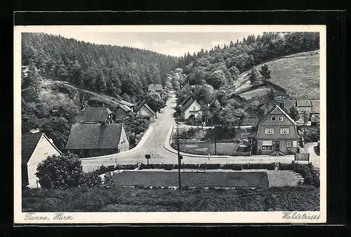 AK Tanne / Harz, Teilansicht mit Waldstrasse