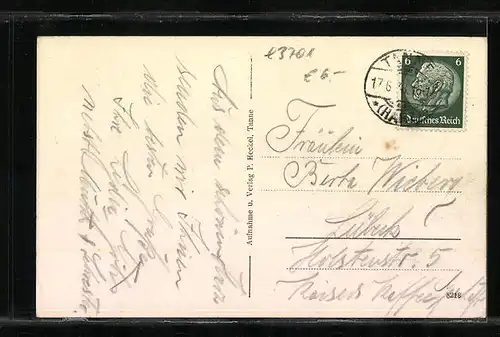 AK Tanne / Harz, Teilansicht mit Waldstrasse