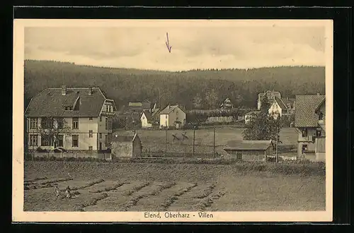 AK Elend / Oberharz, Villen am Waldrand