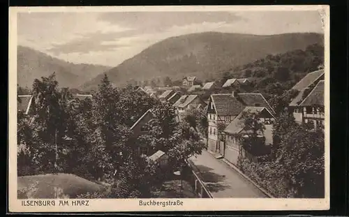 AK Ilsenburg / Harz, Buchbergstrasse mit Umgebung