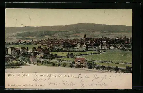 AK Alfeld a. d. Leine, Panoramablick vom Schlehberge aus gesehen