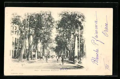 AK Oran, Boulevard Malakoff