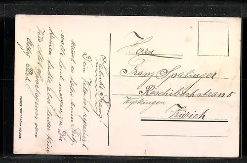 AK Rapperswil, Gebäudepartie am Seeufer