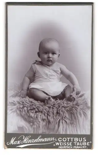 Fotografie Max Hinzelmann, Cottbus, Weisse Taube, Kleines Kind im weissen Leibchen auf einem Fell