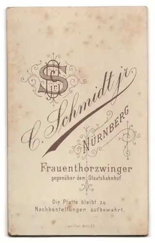 Fotografie C. Schmidt jr., Nürnberg, Frauenthorzwinger, Junge Dame im Kleid mit Kragenbrosche