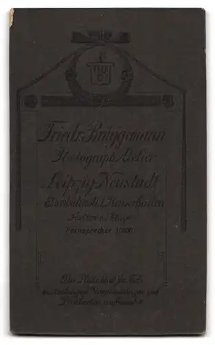 Fotografie Friedr. Brüggemann, Leipzig-Neustadt, Eisenbahnstrasse, Bürgerliche Dame mit Hochsteckfrisur