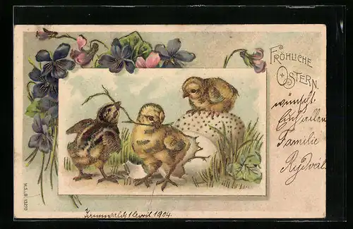 AK Osterküken schlüpfen aus den Eiern, Fröhliche Ostern