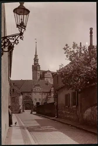 Fotografie Brück & Sohn Meissen, Ansicht Torgau, Eingang zum Schloss Hartenfels