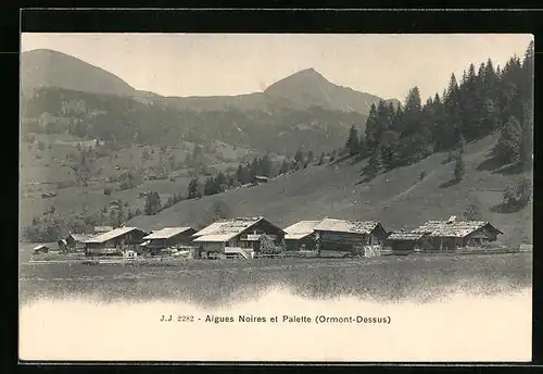 AK Ormont-Dessus, Aigues Noires, Palette