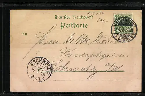 Lithographie Freienwalde a. d. Oder, Aussichtsturm, Papenmühle, Baa-See