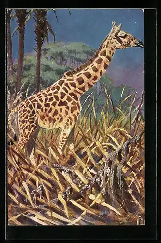 Künstler-AK Giraffe im hohen Gras der Savanne