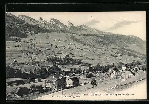 AK Wildhaus, Der Ort mit Blick auf die Kurfirsten