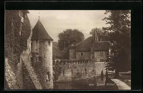AK Hallwil, Schloss Hallwil