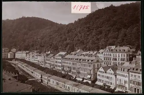 Fotografie Brück & Sohn Meissen, Ansicht Karlsbad, Alte Wiese mit Hotels Goldene Krone, Zwei Störche, Strauss