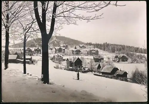 Fotografie Brück & Sohn Meissen, Ansicht Bärenfels i. Erzg., Blick in den Ort im Winter