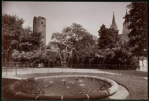 Fotografie Brück & Sohn Meissen, Ansicht Oschatz, Partie an der Promenade und Stadtturm