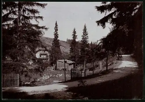 Fotografie Brück & Sohn Meissen, Ansicht Schellerhau i. Erzg., Blick auf die Schellermühle