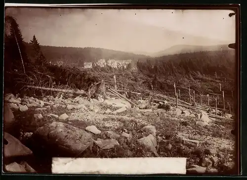 Fotografie Brück & Sohn Meissen, Ansicht Bad Lauterberg, Panorama von der Bremer Ruhe gesehen