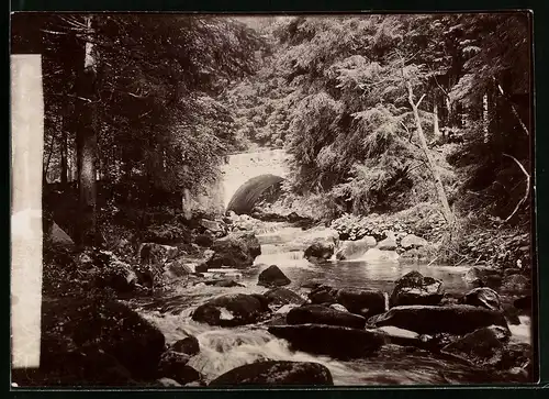 Fotografie Brück & Sohn Meissen, Ansicht Wernigerode, Panorama von der Harburg gesehen