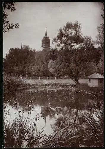 Fotografie Brück & Sohn Meissen, Ansicht Wittenberg, Partie im Stadtpark mit Blick zum Turm der Schlosskirche