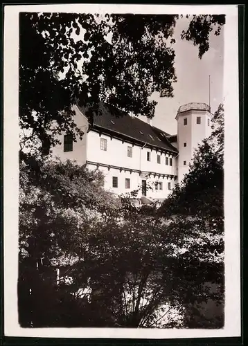 Fotografie Brück & Sohn Meissen, Ansicht Rudbjerggaard, Blick aus dem Wald auf das Schloss