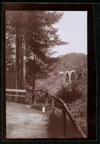 Fotografie Brück & Sohn Meissen, Ansicht Frankenberg i. Sa., Partie im Wald mit Blick auf die Brücke im Lützeltal