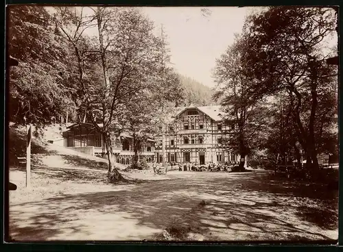 Fotografie Brück & Sohn Meissen, Ansicht Ilsenburg / Harz, Blick auf das Hotel Prinzes Ilse im Ilsetal