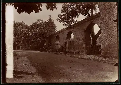 Fotografie Brück & Sohn Meissen, Ansicht Blankenburg / Harz, Kloster Michaelstein mit 1000 jährigem Klosterbogen