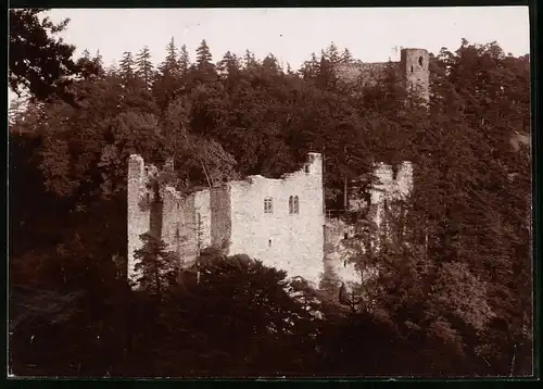 Fotografie Brück & Sohn Meissen, Ansicht Oybin, Blick auf das Refektorium / Ruine