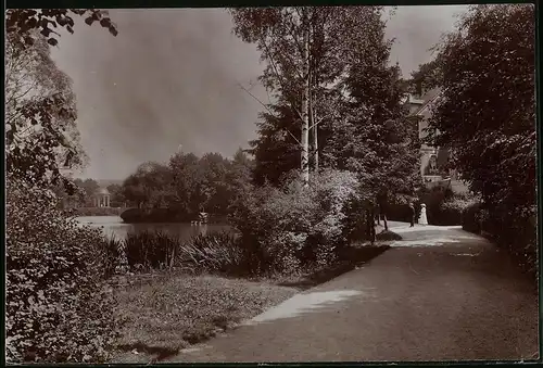 Fotografie Brück & Sohn Meissen, Ansicht Bad Elster, Partie am Luisasee mit Blick auf den Pavillon