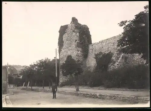 Fotografie Brück & Sohn Meissen, Ansicht Freyburg a. U., Partie an der alten Stadtmauer