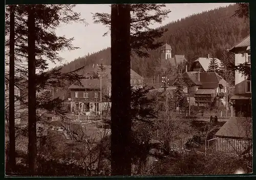 Fotografie Brück & Sohn Meissen, Ansicht Kipsdorf, Blick aus dem Wald in den Ort mit Kolonialwarenhandlung