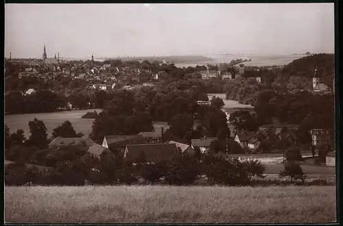 Fotografie Brück & Sohn Meissen, Ansicht Waldenburg i. Sa., Blick nach dem Ort mit Kirchen