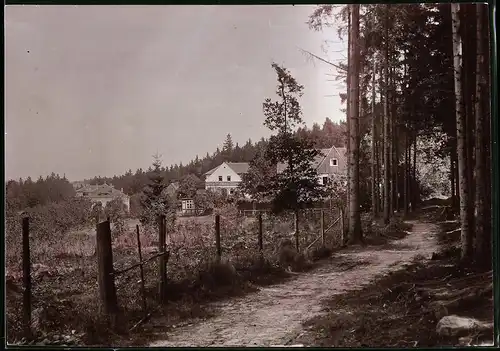 Fotografie Brück & Sohn Meissen, Ansicht Berggiesshübel, Blick auf das Haus Waldfrieden, Zwiesel Bad