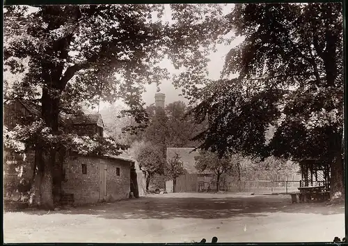 Fotografie Brück & Sohn Meissen, Ansicht Rochlitz, Partie am Steinbruch auf dem Rochlitzer Berg