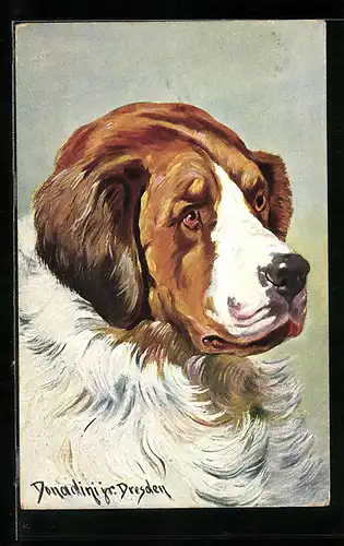 Künstler-AK Ermenegildo Carlo Donadini: Ein Berhardiner im Profil