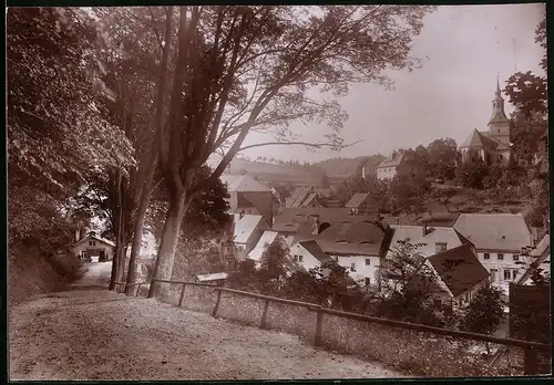 Fotografie Brück & Sohn Meissen, Ansicht Liebstadt i. Sa., Partie am Wald mit Blick zum Ort